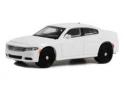 2022 Dodge Charger - White 1:64 Scale Diecast Model - Greenlight 43002-BLANK