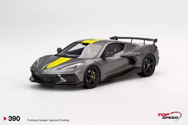 Truescale Chevrolet Corvette Stingray N 0 Imsa Gtlm Championship Edition 2020 1:18 TS0390