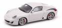 RUF Rk Coupe' 2007 Marble Grey 1:43 Model S0713 SPARK MODEL