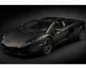 Pocher Lamborghini Aventador LP700-4 Roadster Black Nemesis 1:8 HK121F modeling