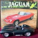 Rare Autoart 1/18 Jaguar D-Type Green Short Nose (73561) Die Cast Car & Book