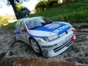 peugeot sport 306 maxi mk1 rallye panizzi 1/18 1:18 otto ottomobile neuf ot664