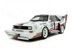Ottomobile Audi Sport Quattro S1 Pikes Peak G010